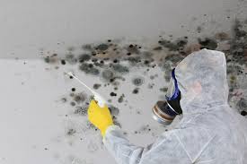 Best Asbestos and Lead Testing During Mold Inspection  in Fort Bliss, TX